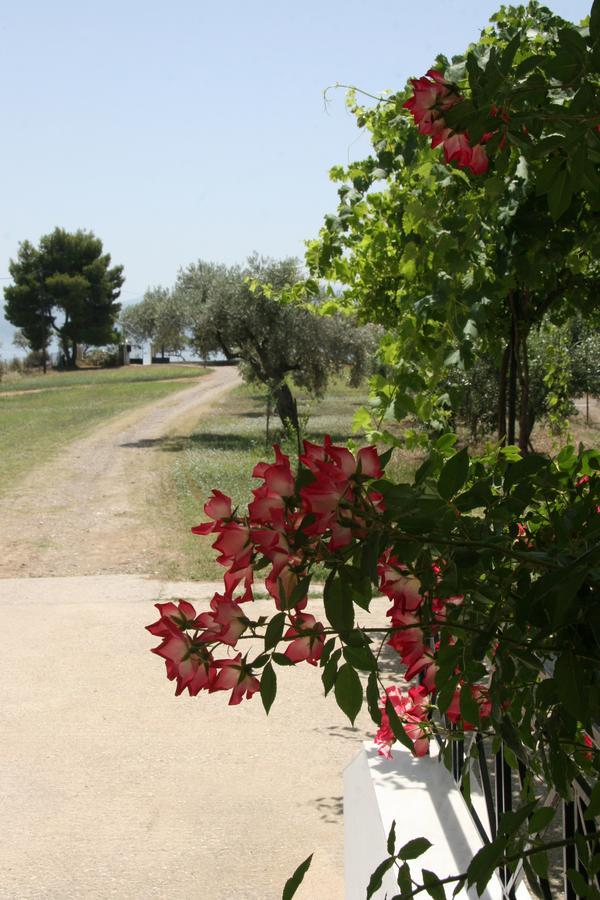 Villa Vlichos Amarynthos Exterior photo