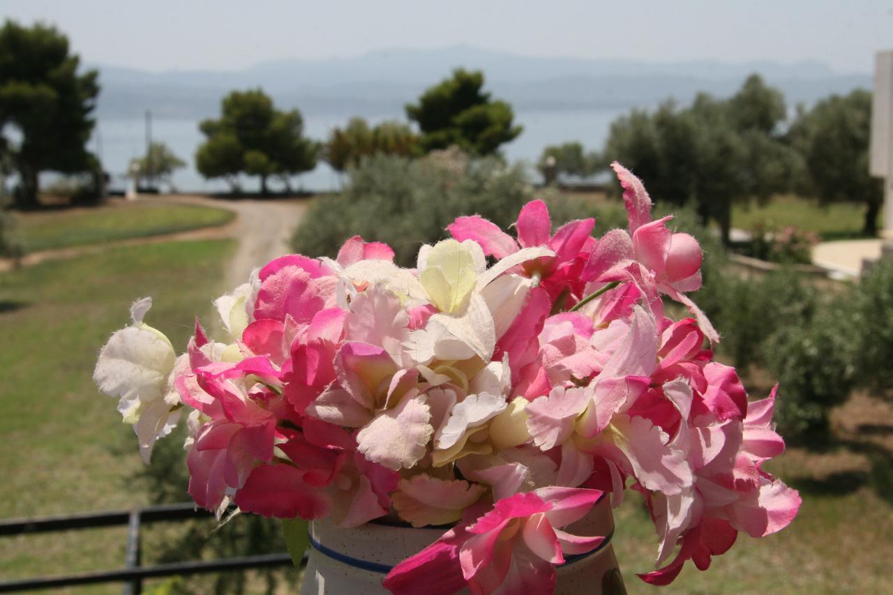 Villa Vlichos Amarynthos Exterior photo